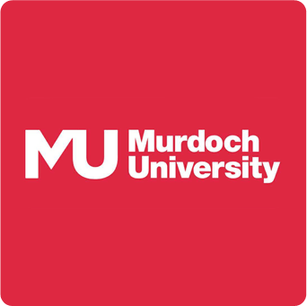 murdoch-university-dubai